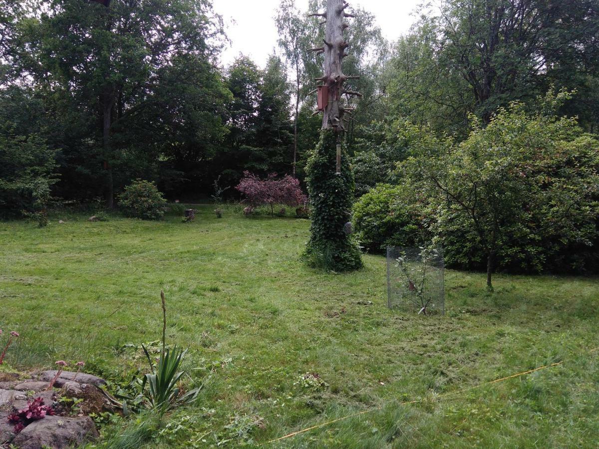 Pusterummet, Klaveroed Klaverod Kültér fotó
